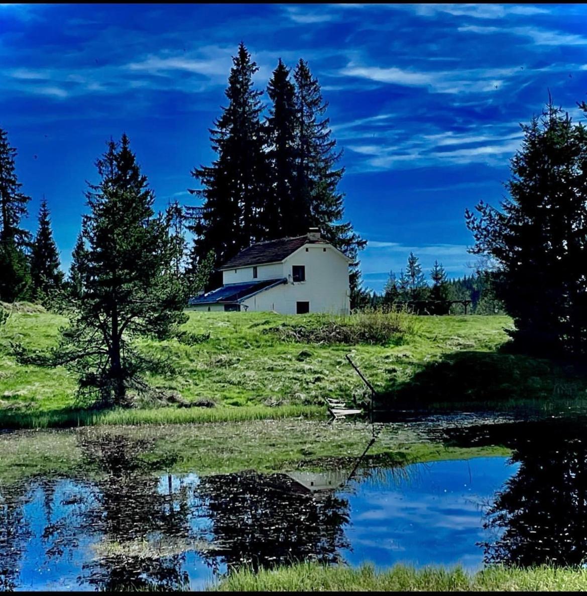 Hotel Еко Спа Вила Орловецъ Batak Exterior foto