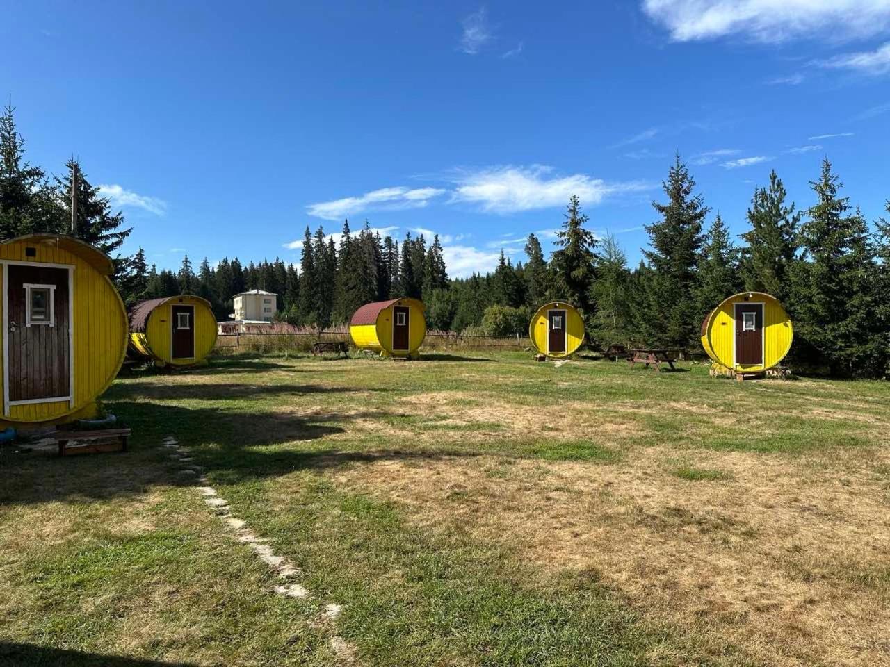 Hotel Еко Спа Вила Орловецъ Batak Exterior foto