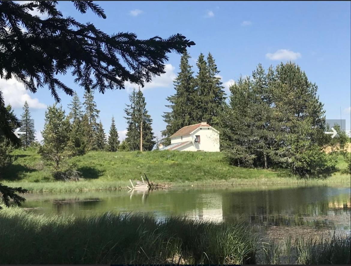 Hotel Еко Спа Вила Орловецъ Batak Exterior foto